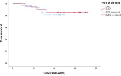 Comparative analysis of clinicopathological characteristics of central necrotizing breast cancer and basal cell-like breast cancer